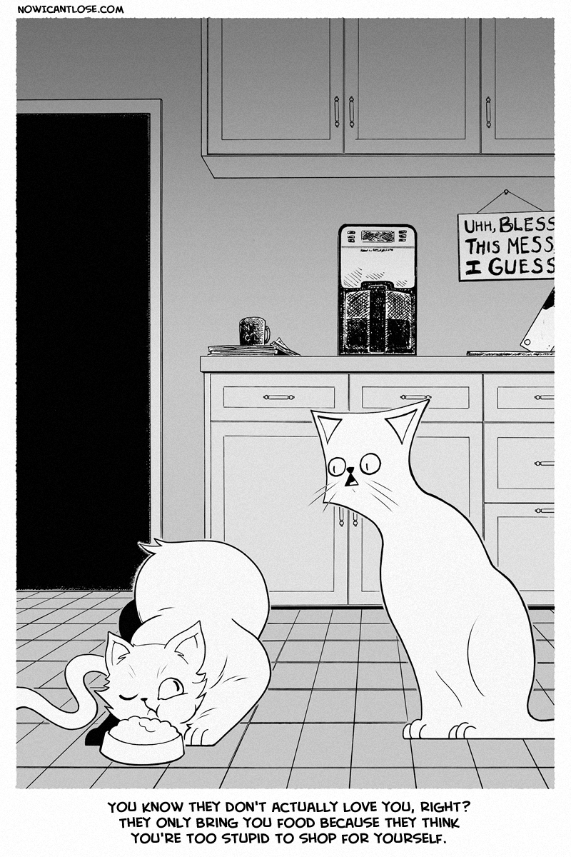 Did you know that people on the internet like cats?