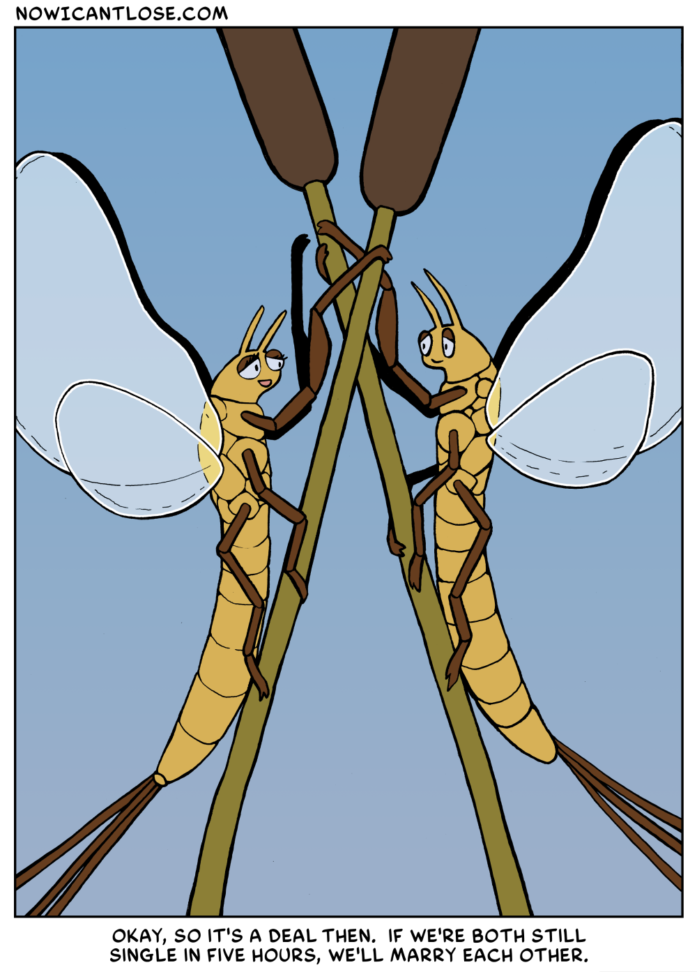 Did you know that some mayflies live for less than 5 minutes as adults? The ones in this comic last for about 16 hours, probably.